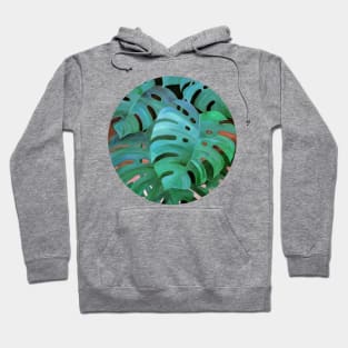 Monstera Love Hoodie